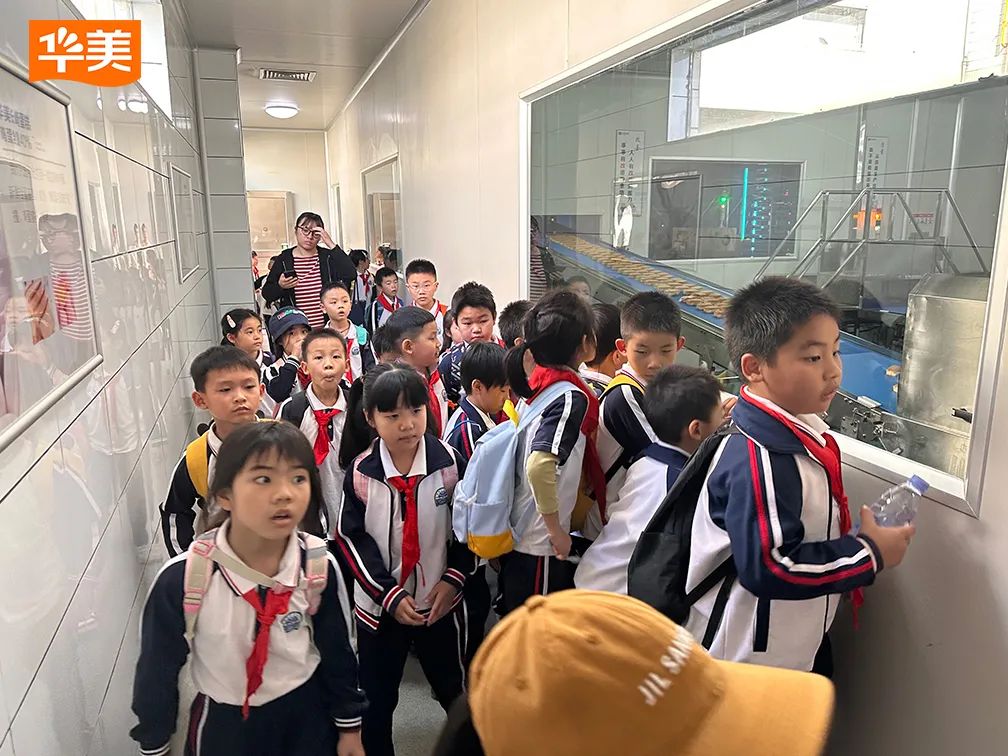 華美月餅夢(mèng)工廠:開啟文化探索新旅程 華美月餅夢(mèng)工廠:開啟文化探索新旅程